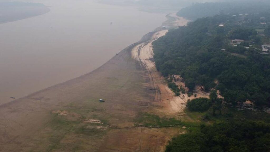 amazonia destruccion alerta cambio climatico
