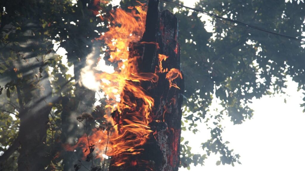 Cadereyta: incendio forestal en San José Tepozán; desalojan a 250 personas