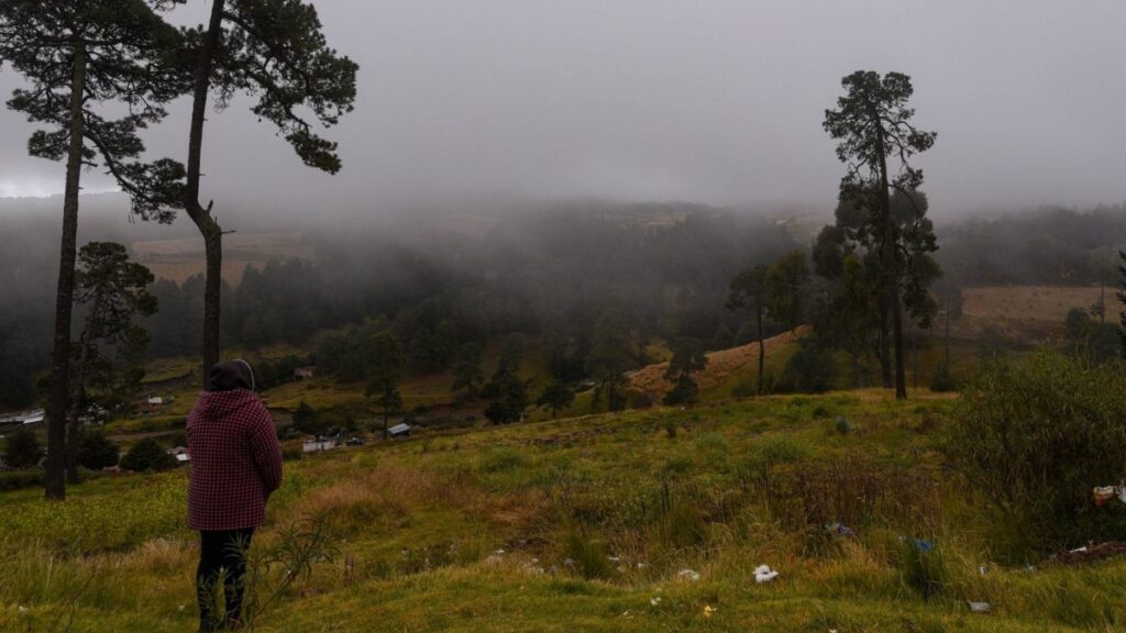 امرأة تلاحظ الضباب على جبل في المكسيك