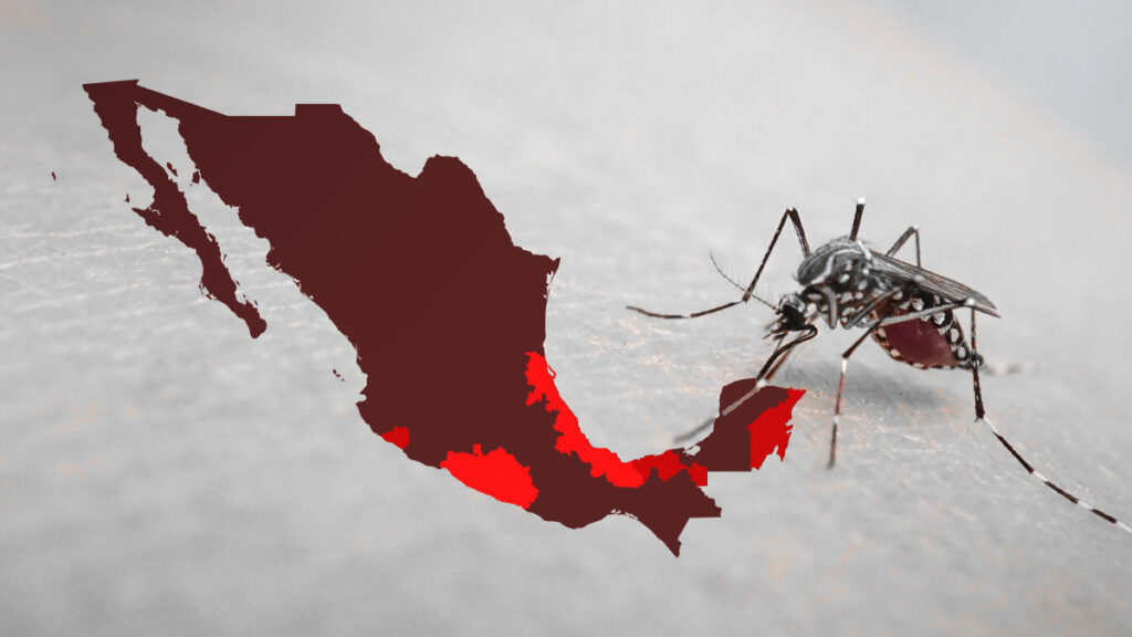 Dengue subió 567% en dos meses; se concentra en 5 estados