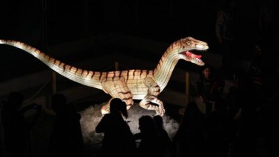 paleontologos argentinos identifican enfermedades de dinosaurios depredadores