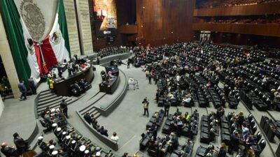 Diputado en la Cámara de Diputados