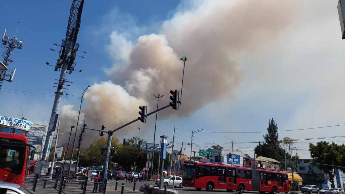 Fuerte incendio de pastizales afecta la zona de Cuemanco en Xochimilco
