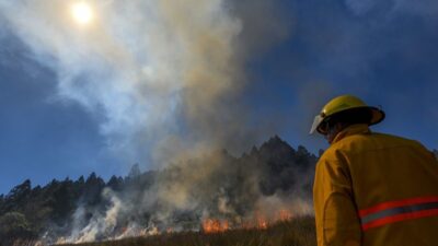 Incendios forestales se presentan en diferentes puntos de México