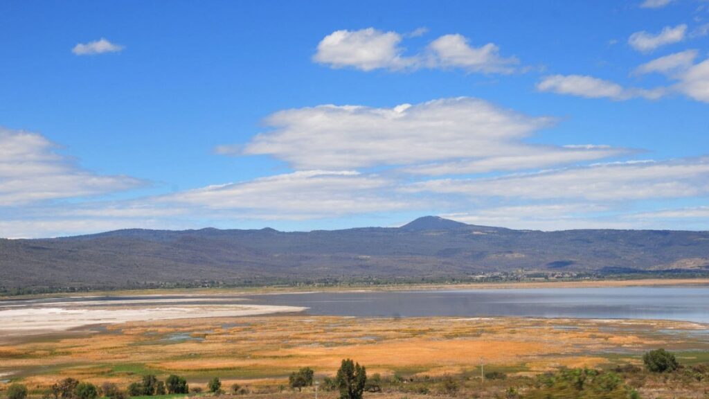 Lago de Cuitzeo, el segundo más grande de México, está secándose