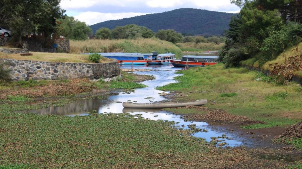 Lago De Patzcuaro Seco