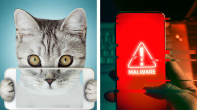 ¿Puede un malware ocultarse en fotos? Esto dicen los expertos