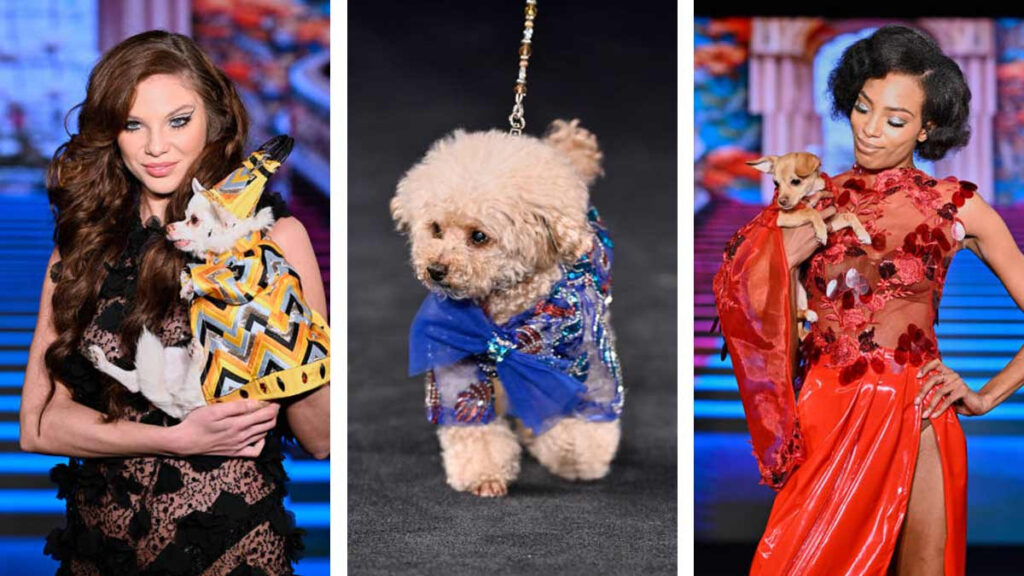 Moda Perruna New York Fashion Week