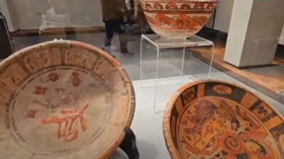 Platos, vestigios antiguos exhibidos en un museo