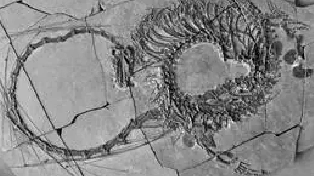 ¿Un dragón chino de verdad? Nuevos fósiles revelan un interesante réptil de 240 millones de años