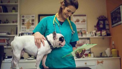 Qué son los biobancos veterinarios