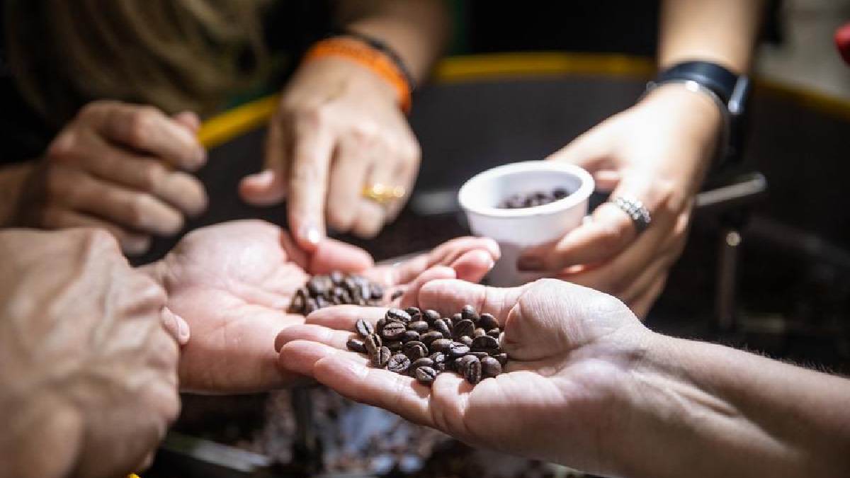 Productores de café de Brasil apuestan al mercado chino