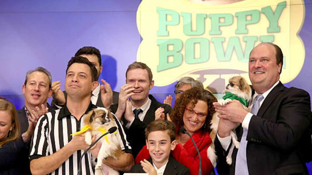 Puppy Bowl 1