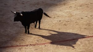 Toro le clava el cuerno a joven en la cabeza en la Xiqueñada 2025; imágenes fuertes