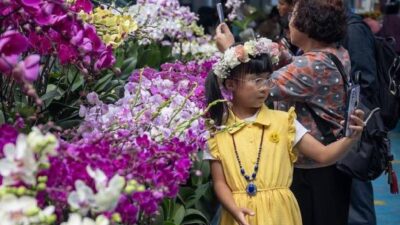 Yunnan flores China exporta