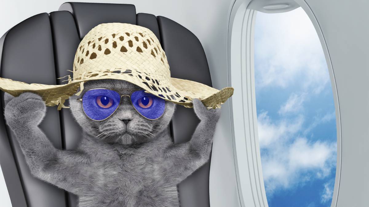 Esta aerolínea ofrece que tu mascota viaje contigo ¡gratis!