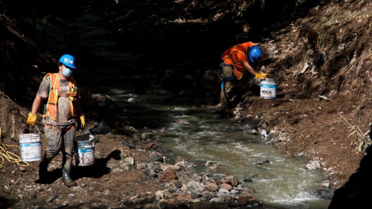 Refuerzan seguridad en bosques captadores de agua de la CDMX