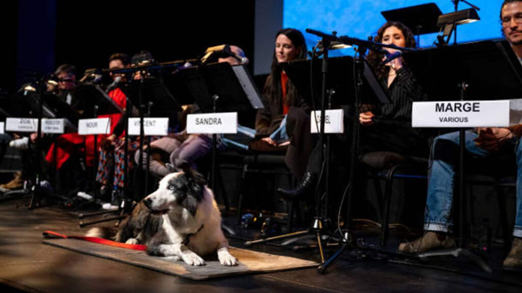 Messi Perro De Anatomia De Una Caida