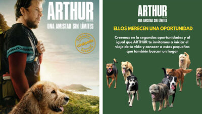 Arthur Day: actividades para tu perrito y adopciones; ve fecha, horario y dónde