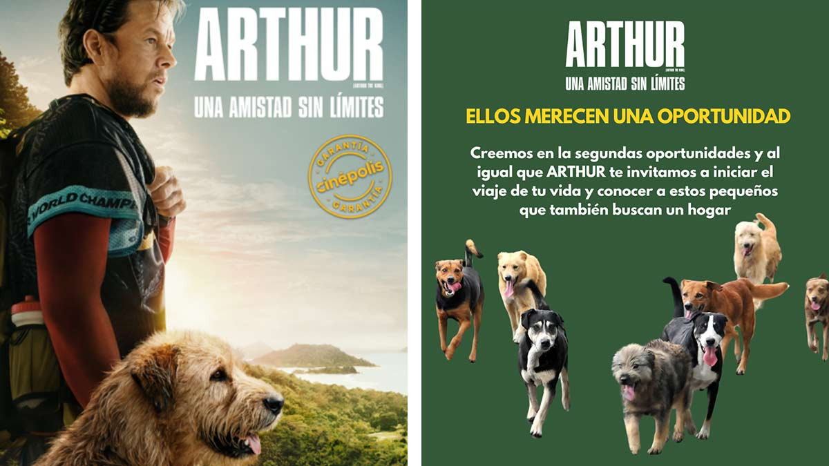 Arthur Day: actividades para tu perrito y adopciones; ve fecha, horario y dónde
