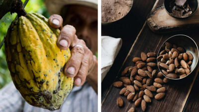 Cacao: beneficios y propiedades
