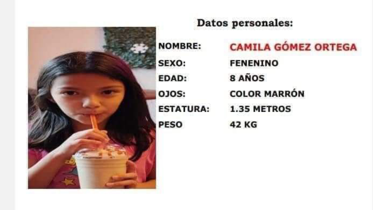 Supuesta secuestradora de Camila era viuda: hilo en X da detalles de lo ocurrido en Taxco