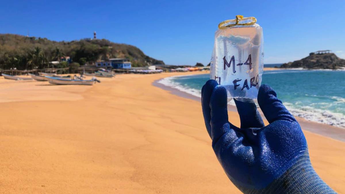 ¿Ya estás listo para tus vacaciones? Alertan por estas playas contaminadas