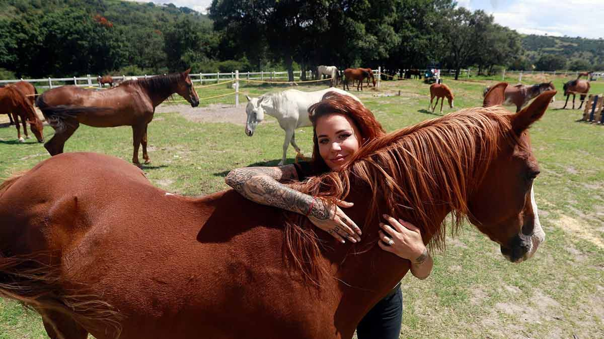 Cuacolandia, qué es y dónde está el refugio de caballos maltratados que dirigía Elena Larrea