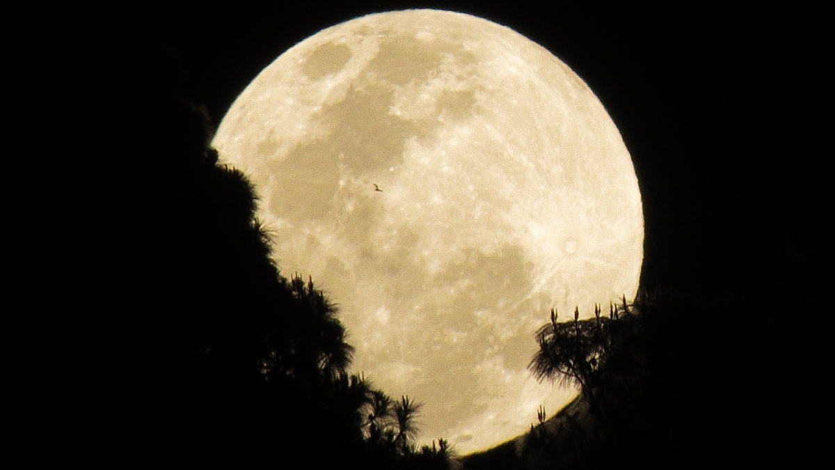Eclipse lunar de marzo 2024, así se vio en México y el mundo