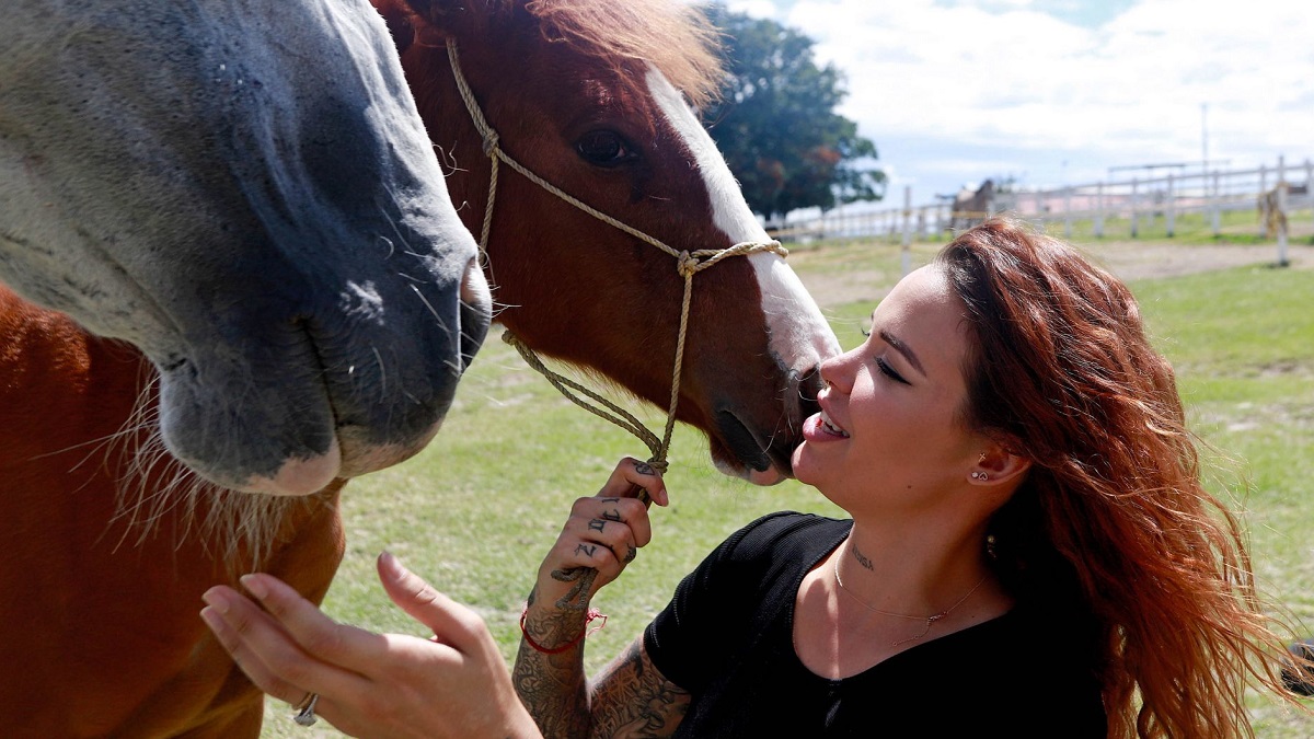 ¿Qué pasará con los caballos de Cuacolandia tras la muerte de Elena Larrea?
