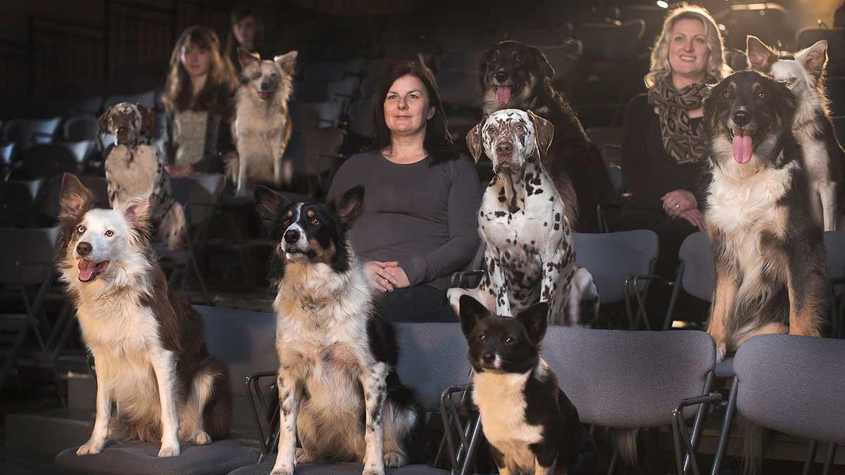Festival de Canes, organiza proyecciones de películas para que las disfrutes con tus perritos 