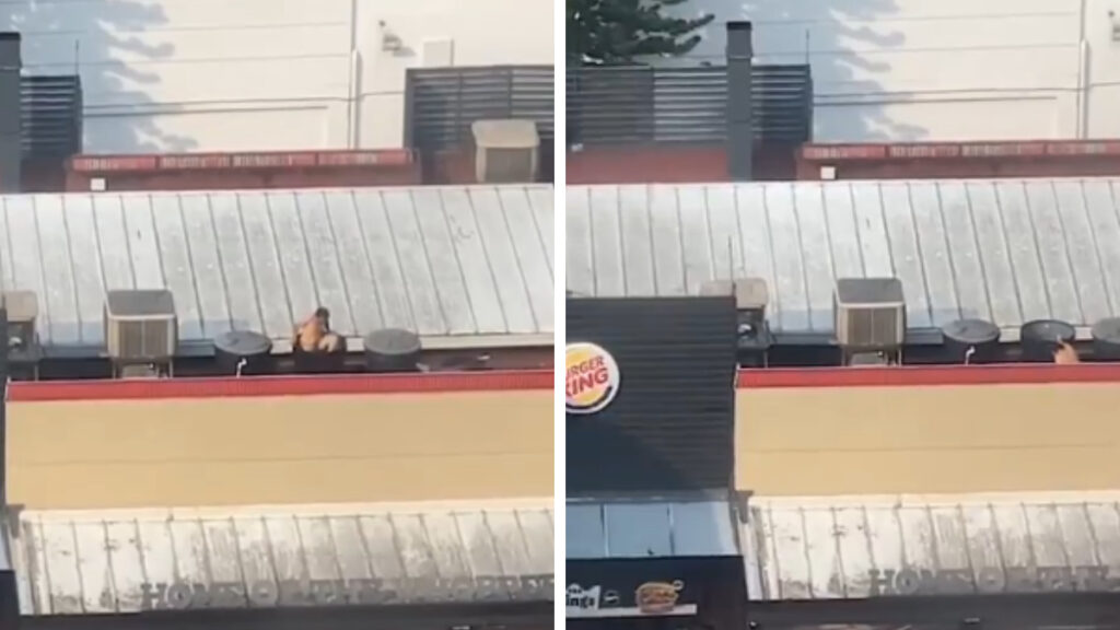 hombre bañándose en tinaco de agua en Burger King