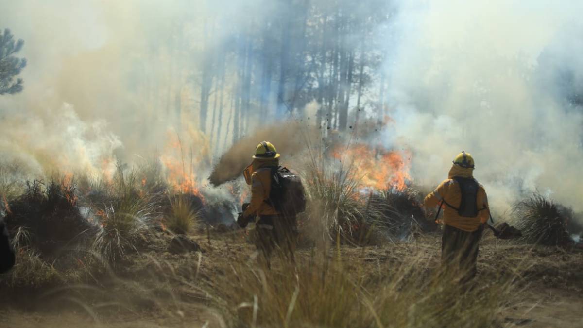 ¡Terrible! Todos los incendios forestales en CDMX son provocados por personas: Sedema