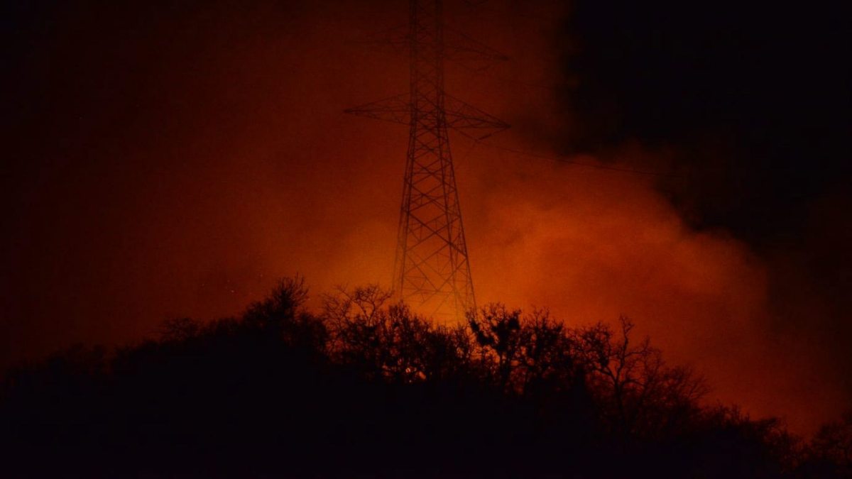 ¡Denuncia en redes! Disparan para evitar que voluntarios apaguen incendio forestal en Nogales, Veracruz