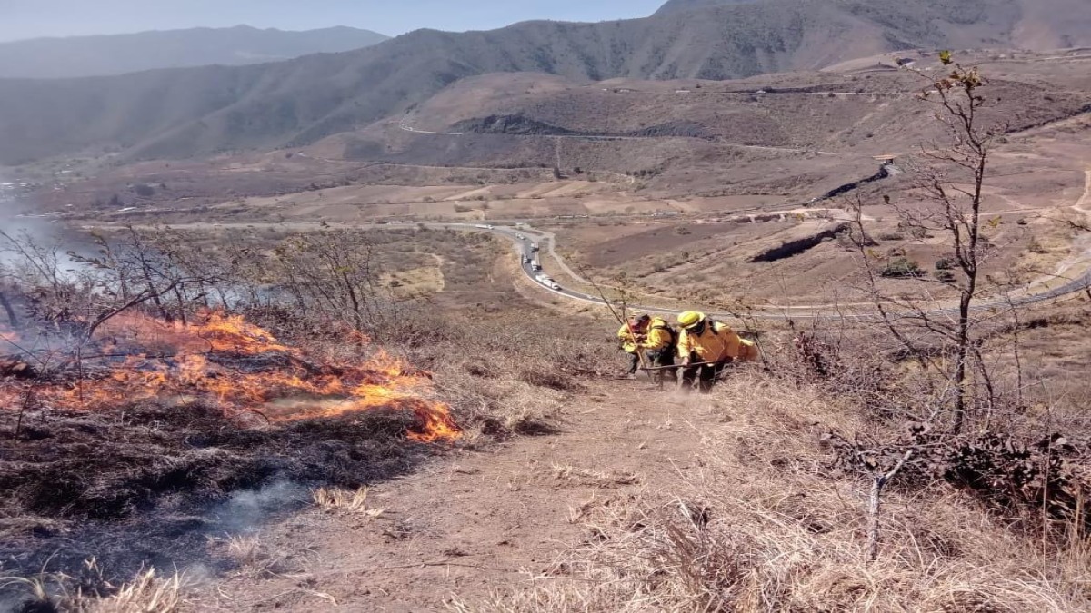 Imágenes: combaten 6 incendios forestales en Veracruz y habilitan albergues