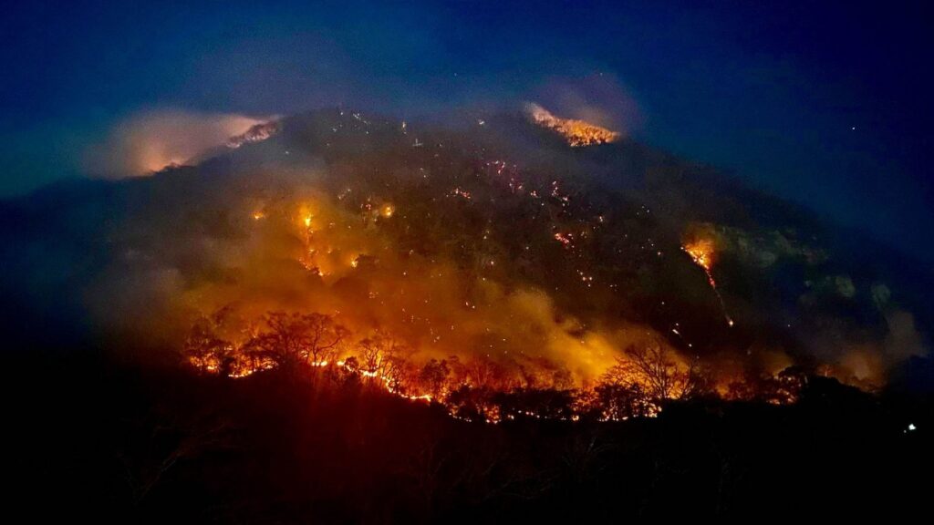 Incendios forestales activos en México; actualización