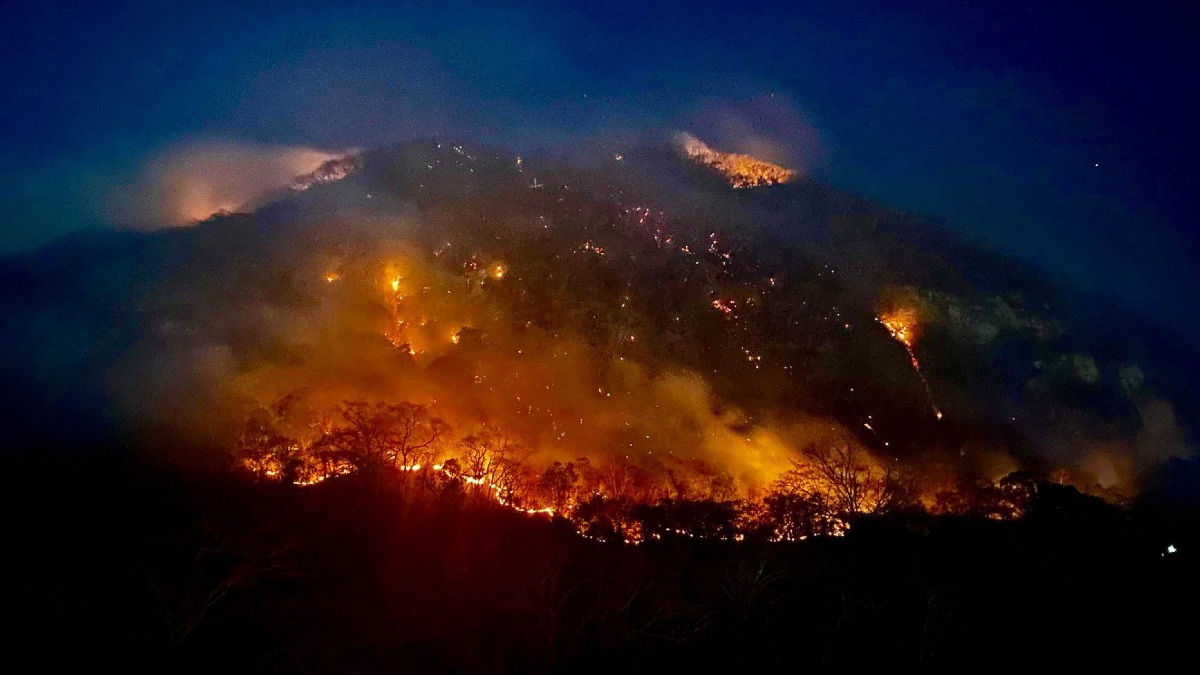 Hay 126 incendios forestales activos en México: ¿dónde se ubican?