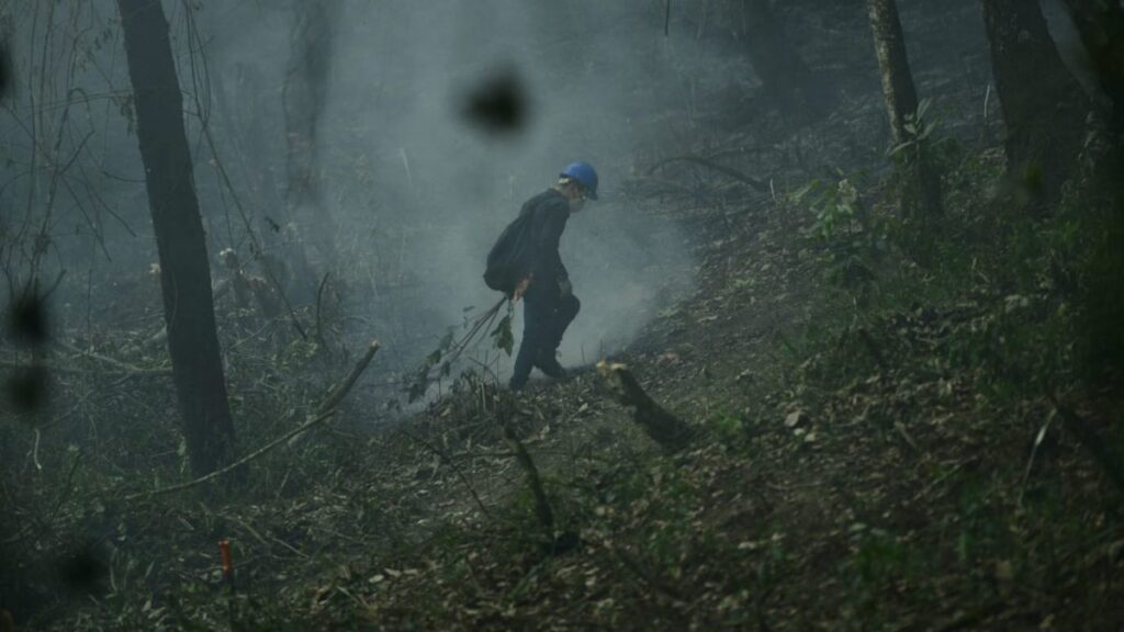 Incendios en México afectan a 19 estados de la República: "De miedo lo que se ve"