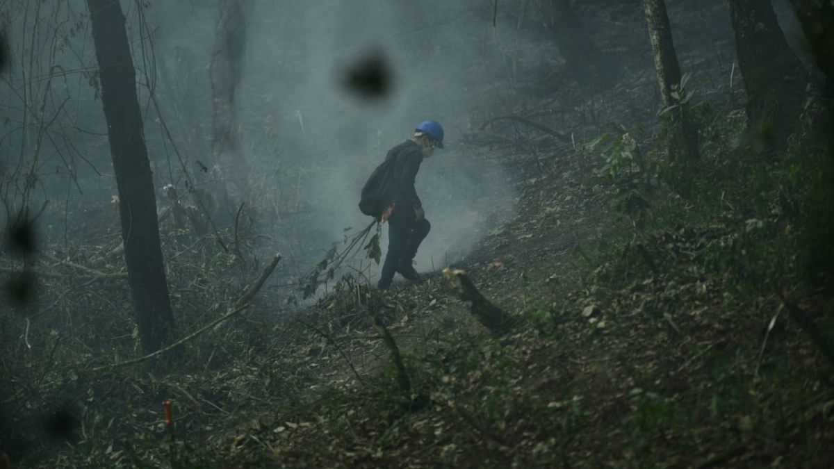 Incendios en México afectan a 19 estados de la República:  “De miedo lo que se ve”