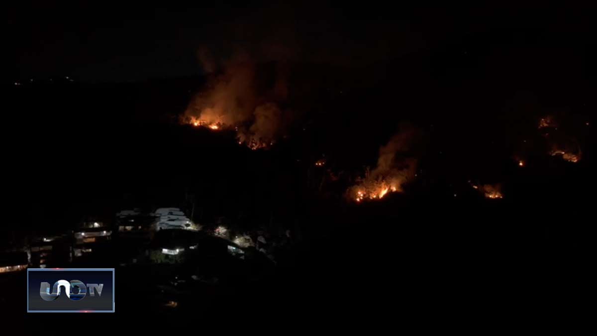 Incendios en Acapulco consumen hectáreas del Parque Nacional El Veladero