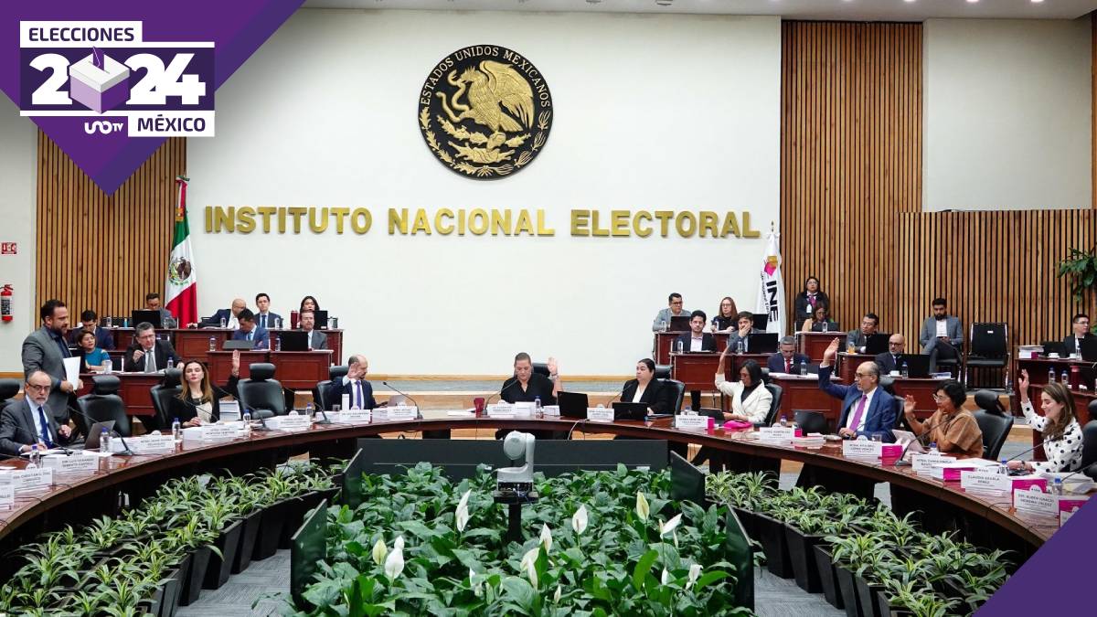 Consejera presidenta del INE, Guadalupe Taddei, pide salir a votar con tranquilidad