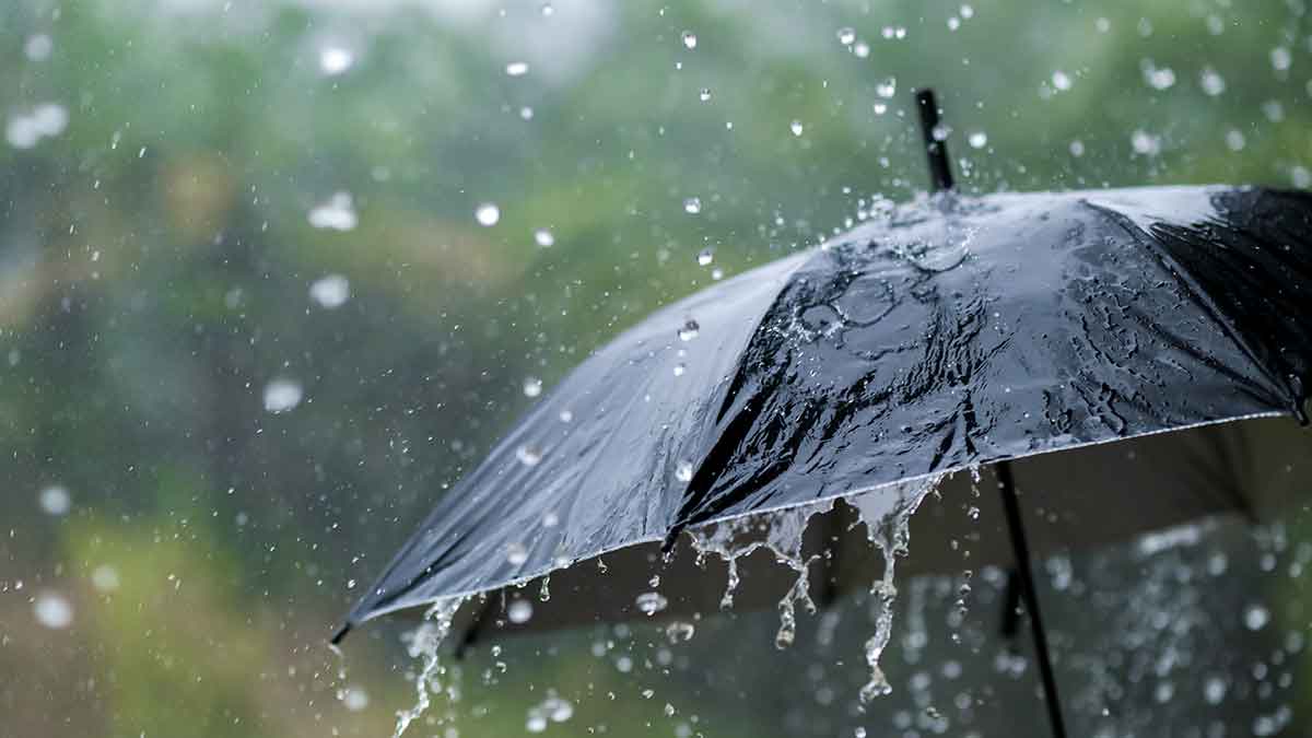 Esperan lluvias en escuelas públicas de CDMX para cosechar agua