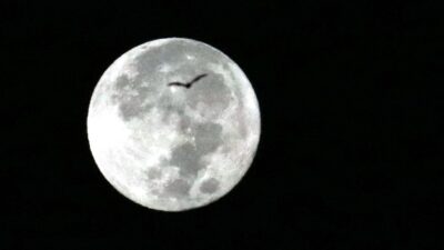 La luna llena del mes de marzo de 2024 es conocida como luna de gusano, por eso te contamos cuándo será el mejor momento para verla.