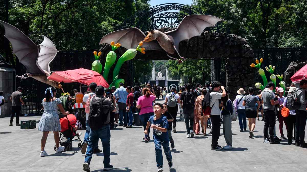 ¡Murciélagos gigantes llegan al Bosque de Chapultepec!