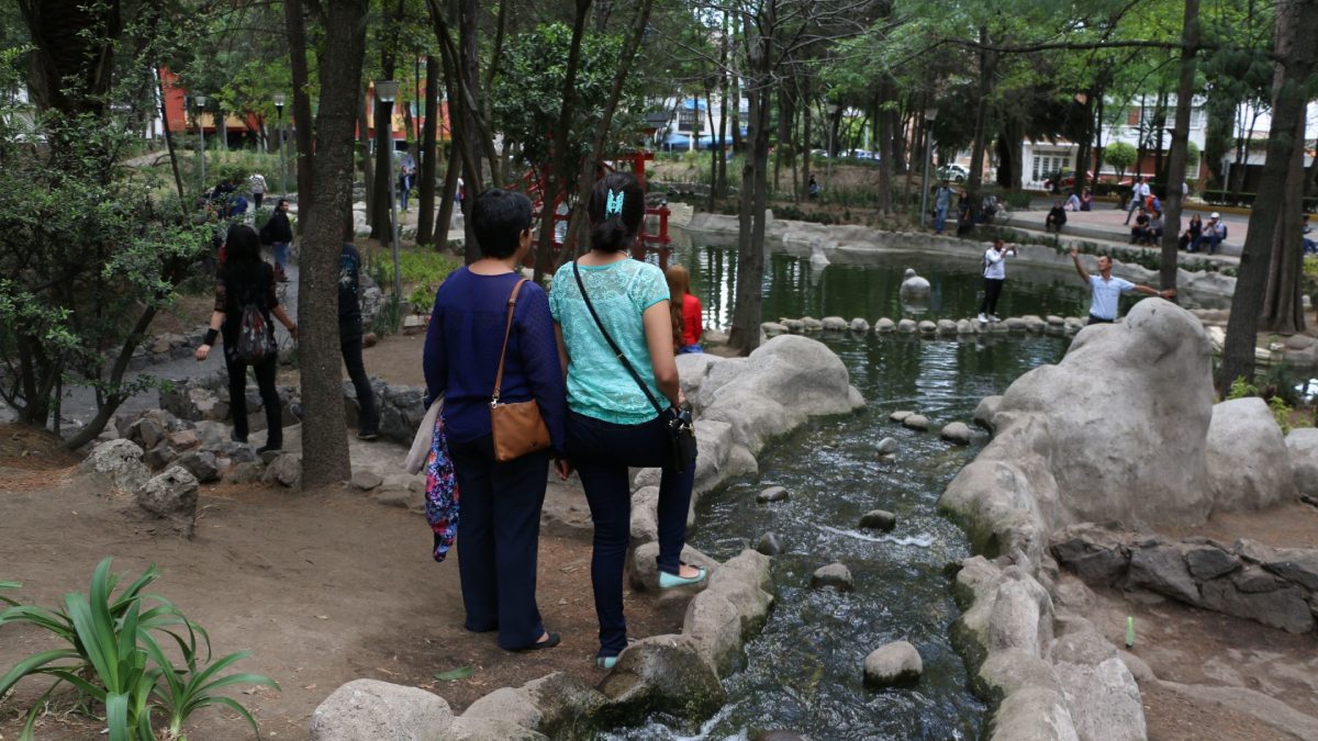 Viaja a Japón sin salir de la CDMX: Este parque es un oasis de paz para estas vacaciones