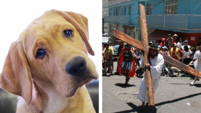 Perro consuela a Jesús en Vía Crucis tras recibir latigazos