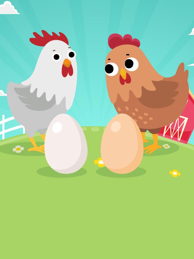 ¿Cuál es la diferencia entre huevos blancos y huevos rojos?