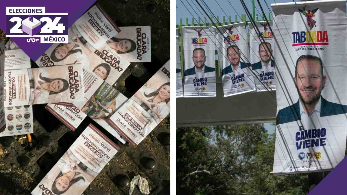 Candidatos pueden perder registro por destrucción de propaganda: Erika Estrada, consejera del IECM