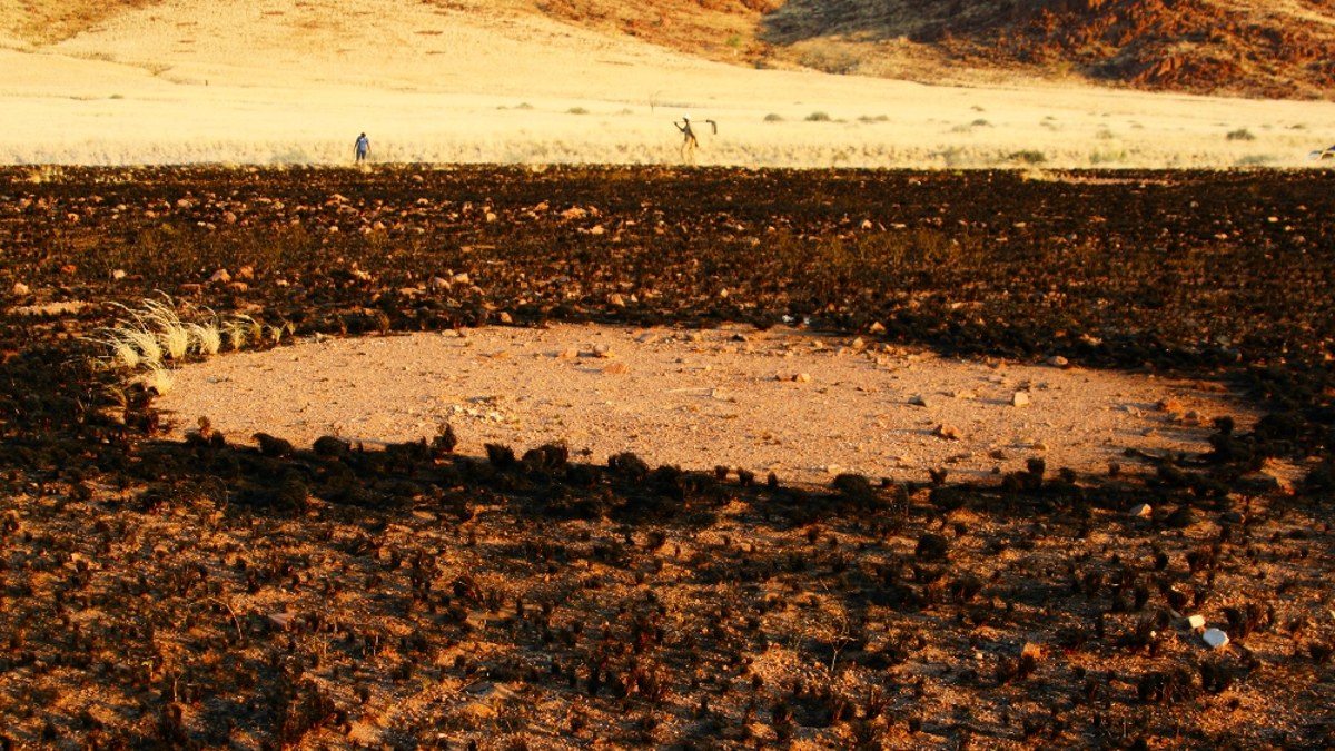 Estrés hídrico: qué son los “círculos de hadas” de Namibia
