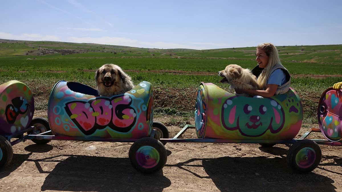 Mujer construye trenecito para darles paseos a perros discapacitados en su refugio